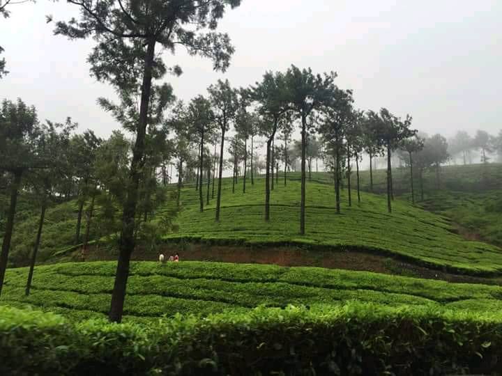 Beautiful Trichy Samsung Members